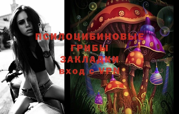 амф Аркадак