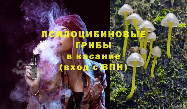 сатива Алзамай