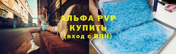 сатива Алзамай