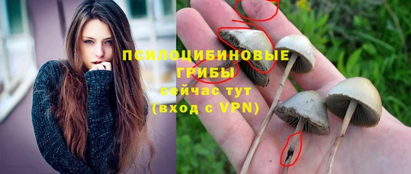 сатива Алзамай